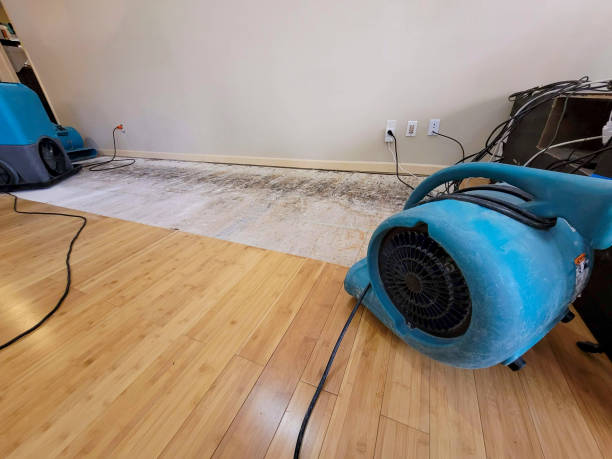 Professional Burst Pipe Water Damage technician working in Brookside, AL